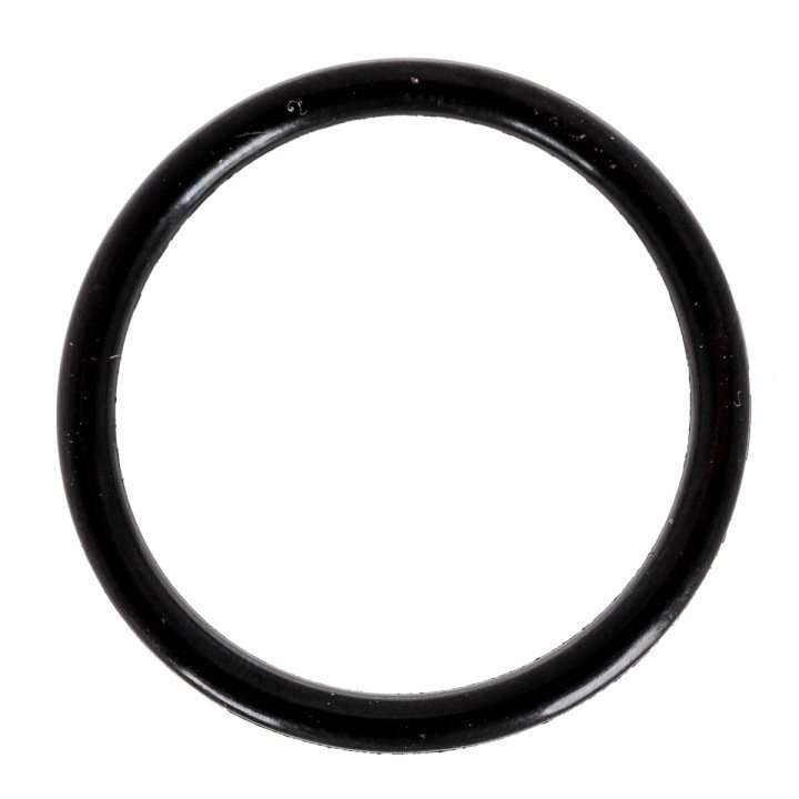 Oring 29,2x3mm opryskiwacz Hardi 241441