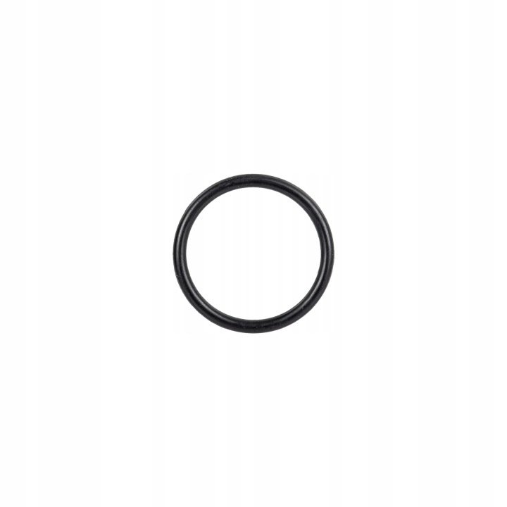 Oring New Holland 14463881