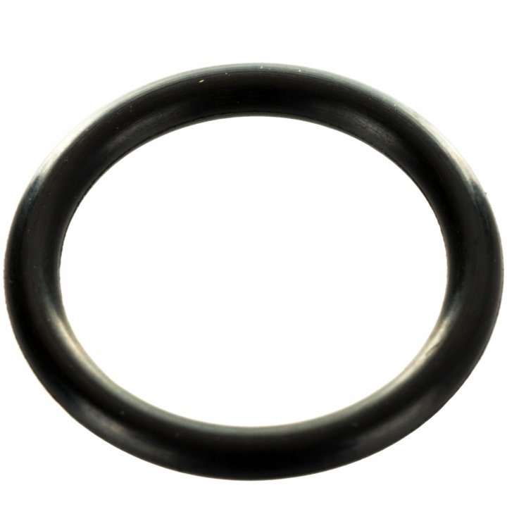 Oring Renault Claas 6005018621