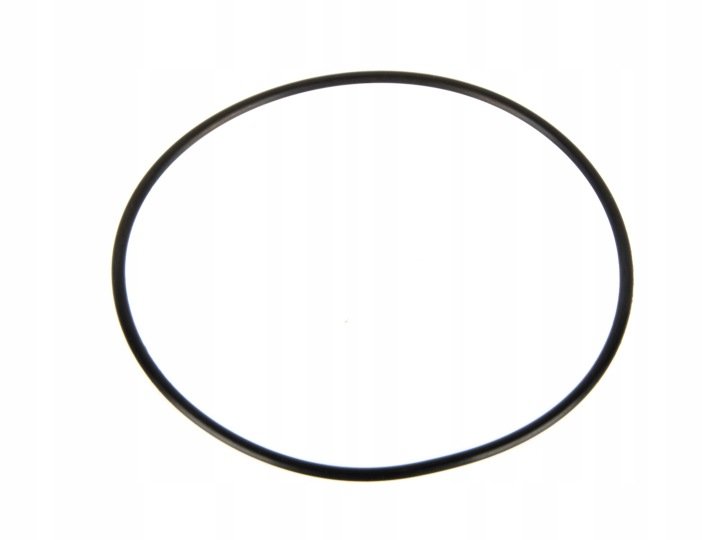 Oring tłoka podnośnika 99x3mm Case 3057615R1