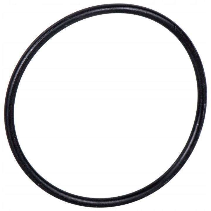 Oring tylnego wałka napędu New Holland 9849963