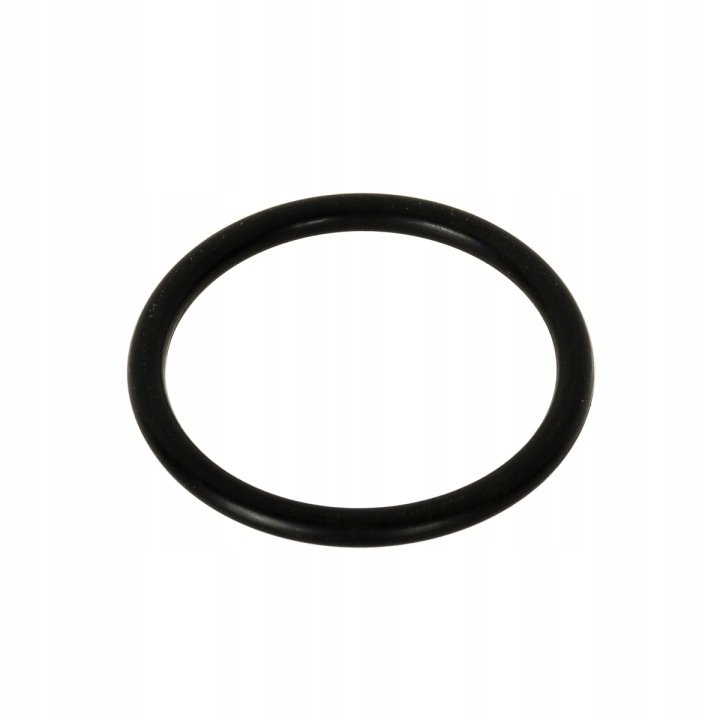 Pierścień oring 24x2,5 Oryginał Fendt