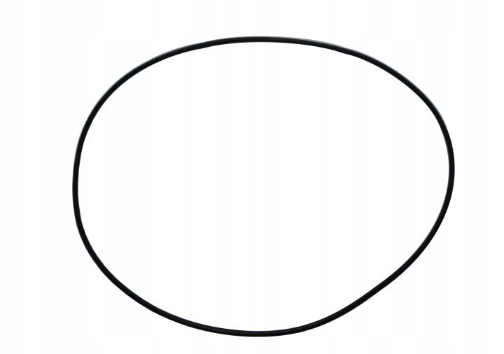 Pierscień oring 253,59x3,53 3382250M2