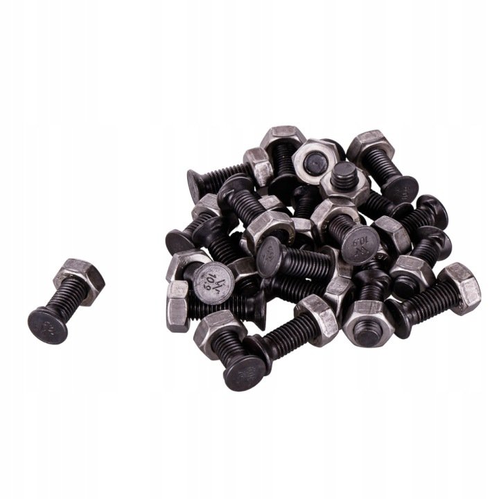 Śruba płużna dwunoskowa M10x30mm kl.10.9 25szt.