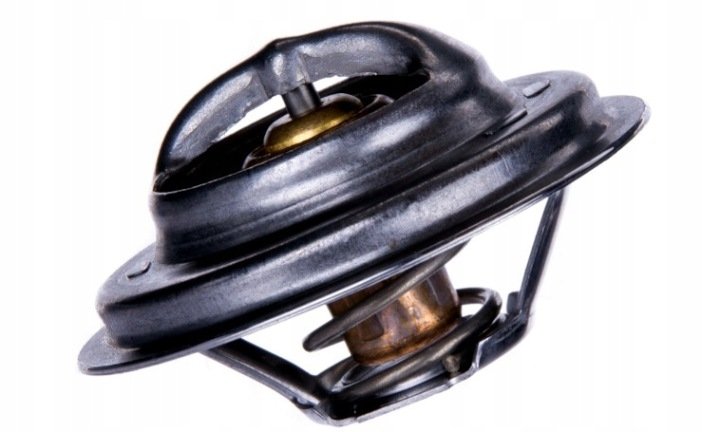 TERMOSTAT CASE LANDINI MASSEY FERGUSON 3118127R1