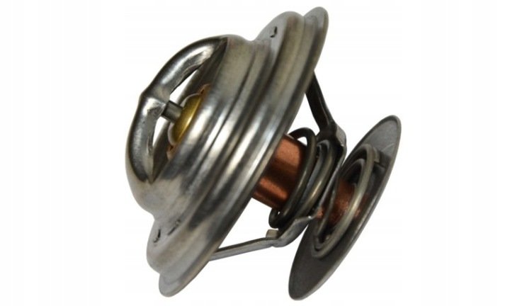 TERMOSTAT FORTERRA 125 12441 78005077 78.005.077