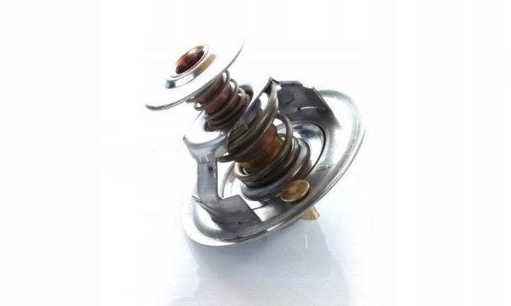 Termostat Case 218039A1 Polmo