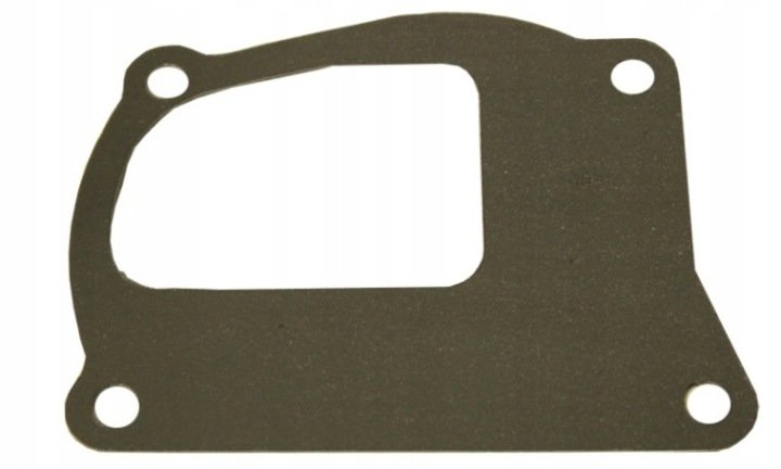 Uszczelka pompy wody Fiat Ford New Holland 4599561