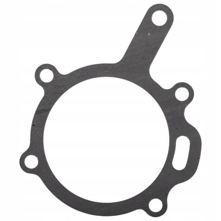 Uszczelka pompy wody Massey Ferguson 4222457M1