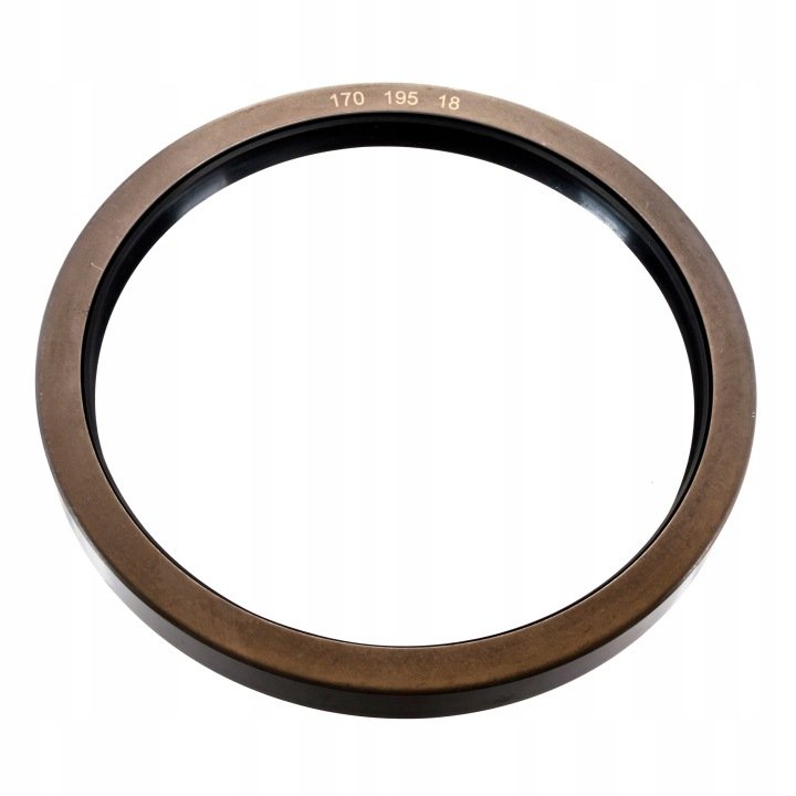 Uszczelniacz piasty koła 170x195x18mm M Ferguson