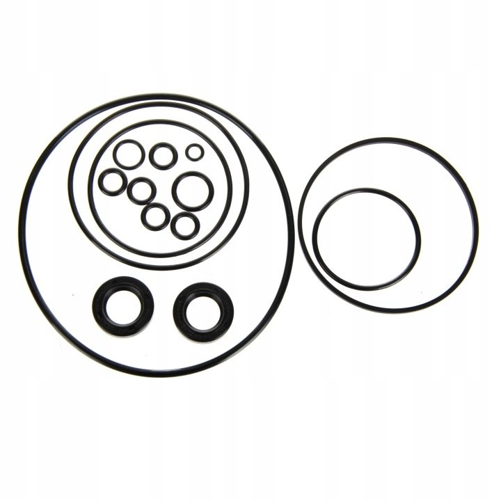 ZESTAW naprawczy pompy wspomagania FORD 2610 4610 5610 6610 83910651