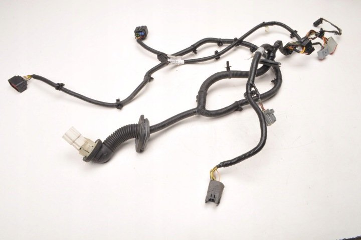 ASTON MARTIN DB9 WIĄZKA INSTALACJA DRZWI LEWY PRZÓD 4G43-14630-AE
