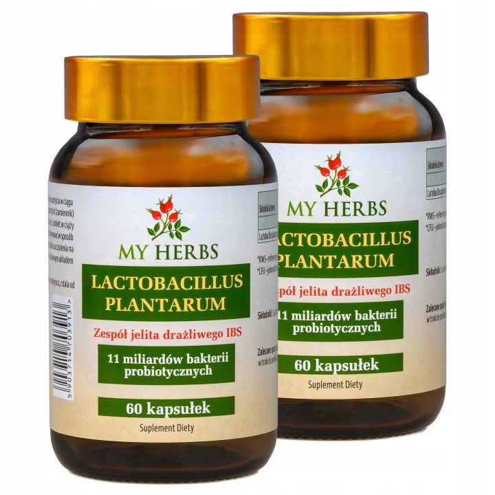 LACTOBACILLUS-PLANTARUM-11-MILIARDOW-BAKTERII-PROBIOTYCZNYCH-60-KAPS LACTOBACILLUS PLANTARUM 11 MILIARDÓW BAKTERII PROBIOTYCZNYCH 60 KAPS.