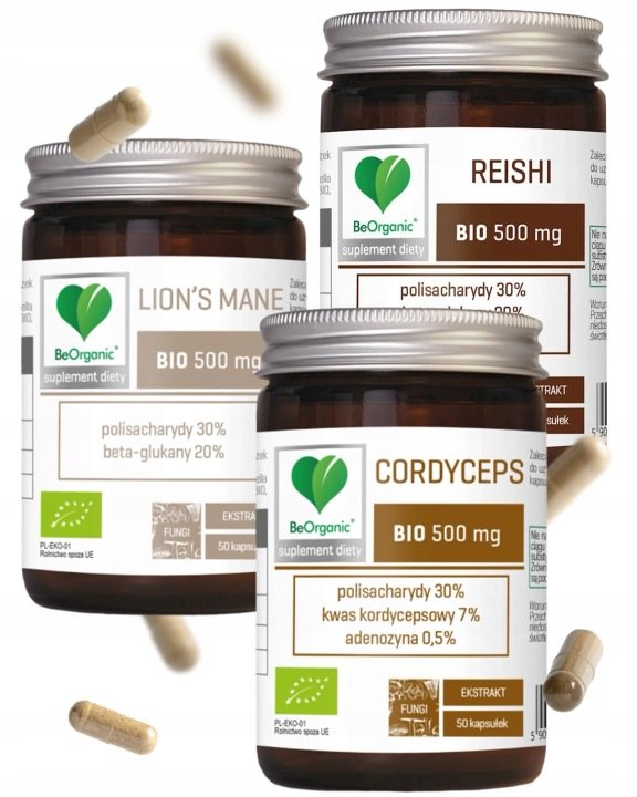 SOPLÓWKA JEŻOWATA LIONS MANE REISHI stres mózg zestaw grzybów adaptogennych