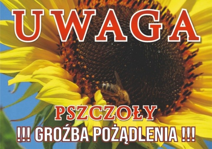 Tablica ostrzegawcza duża, wzór TO01D