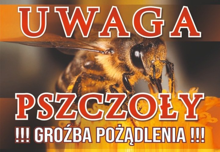 Tablica ostrzegawcza duża, wzór TO02D