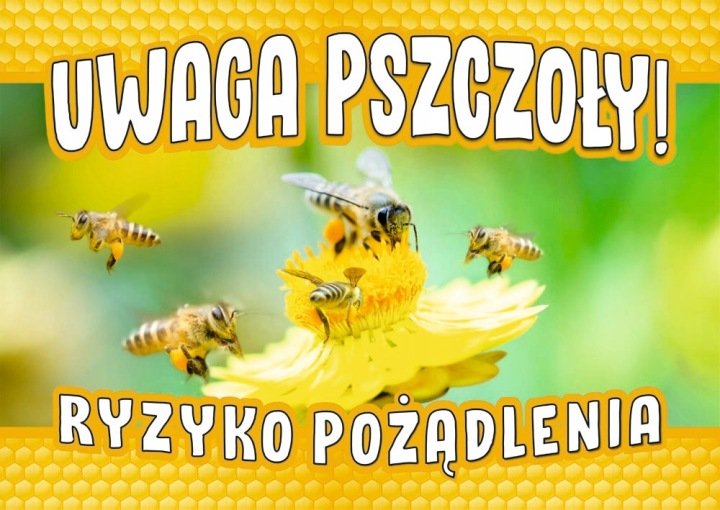 Tablica ostrzegawcza duża, wzór TO09D